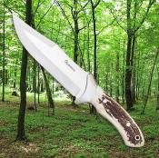 Couteau de chasse bowie Albainox 31658 lame 15.6 cm