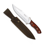 Couteau de chasse Albainox 31584 lame 17 cm